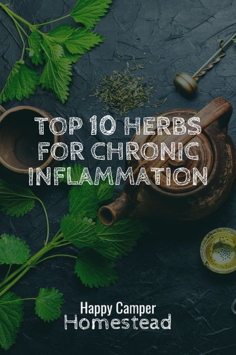 top 10 herbs for chronic inflammation Herbs For Inflammation, Anti Inflammation, Chronic Inflammation, Healing Herbs, Body Systems, Happy Camper, Self Healing, Happy Campers, Your Soul