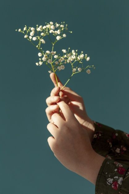 Hands holding spring flowers Free Photo | Free Photo #Freepik #freephoto #floral #flowers #hand #nature Hands Holding Flowers, Tiny White Flowers, Hand Photography, Hand Drawing Reference, Wallpaper Flowers, Hand Photo, Photography Flowers, Hand Flowers, Hand Reference