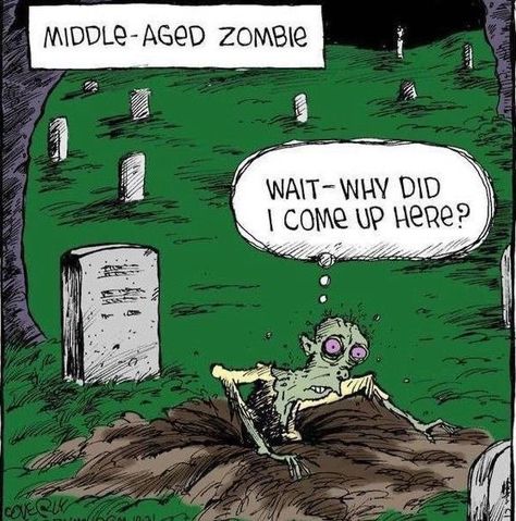 Witch Humor, Halloween Funnies, Halloween Comics, Hot Weather Humor, Halloween Comic, Halloween Humor, Halloween Jokes, Zombie Humor, Halloween Memes