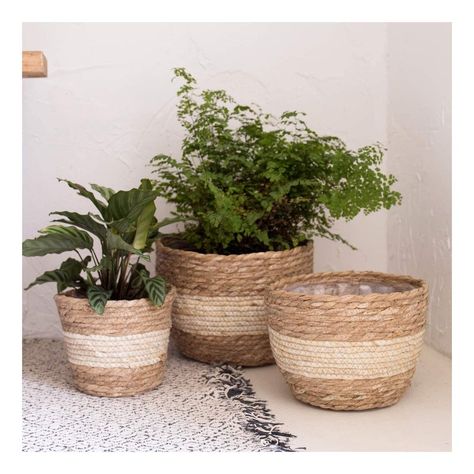 Plant Containers, Straw Weaving, Plant Pot Covers, Planter Basket, Flower Pots Outdoor, Plant Basket, Outdoor Flowers, Decorative Planters, Basket Sets