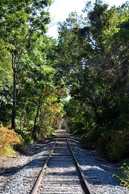 rail road tracks Abandoned Locations, Scenic Railroads, Rail Road, Background Hd Wallpaper, Vanishing Point, Mill Creek, Background Hd, Train Tracks, Model Railroad