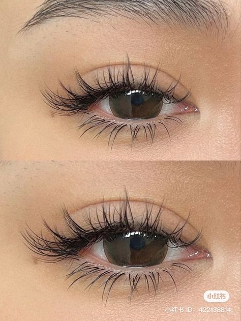 Classic L Curl Lash Extensions, Eyelashes Aesthetic Natural, Flare Eyelash Extensions, Spaced Out Lash Extensions, Princess Eyelash Extensions, Tapered Lash Extensions, Classic Spikey Lash Extensions, Fake Lashes Styles, Different Eyelash Extensions