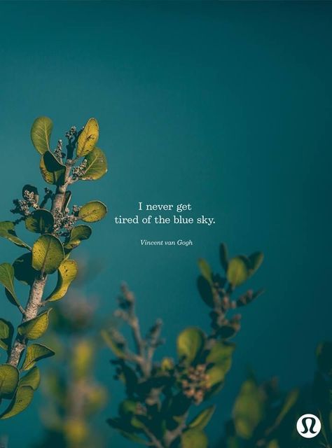 I never get tired of the blue sky. Nature Background Images, Age Of Aquarius, The Blue Sky, Spoken Words, Summer Nature, Nature Quotes, Mellow Yellow, Hello Summer, Love Words