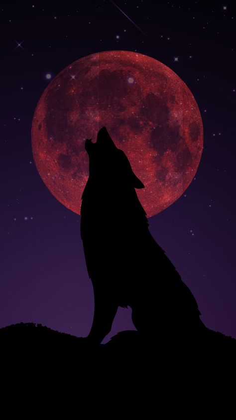 70 Aesthetic, Lup Singuratic, System Wallpaper, Raven And Wolf, Deer Wallpaper, Wolf Painting, Alpha Wolf, Wolf Spirit Animal, Werewolf Art