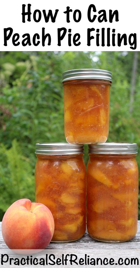 How to Can Peach Pie Filling Canning Peach Pie Filling, Can Peaches Recipes, How To Can Peaches, Peach Pie Filling Recipes, Can Peaches, Preserving Fruit, Preserving Vegetables, Canning Peaches, Canning 101