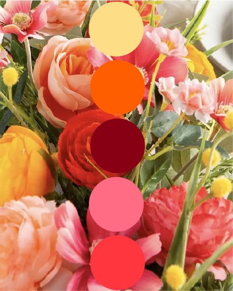 Watermelon Wedding Color, Orange Wedding Pallet, Pink And Orange Wedding Palette, Red Pink Orange Yellow Color Palette, Bridesmaids Color Palette Summer, Pink Red Yellow Color Palette, Spring Sunset Wedding Colors, Sunset Colour Palette Wedding, Pinks And Orange Wedding