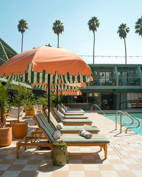 Who would have thought that cheetahs could chill out so well a the Palihotel in Hollywood? But hey, it’s not just a wild dream anymore…… | Instagram Old Hollywood Pool Party, The Beverly Hills Hotel Aesthetic, Hollywood Architecture, Pool Styling, Oasis Aesthetic, Residential Compound, Beach Motel, Pool Deck Decorations, Future Mansion