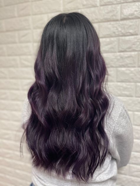 Black Hair Dyed Purple, Dark Purple Hair On Black Hair, Purple Hair Color On Black Hair, Black Hair With Purple Tint Dark, Purple Color On Black Hair, Black Hair With Deep Purple Highlights, Dark Hair Purple Balayage, Black Hair With Tint Of Purple, Dark Violet Highlights On Black Hair