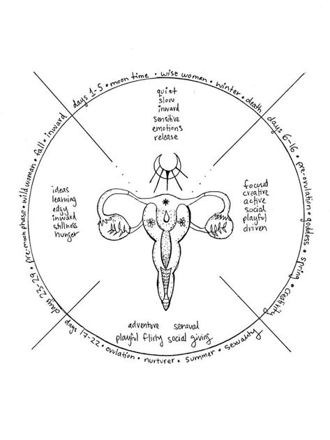 Cycling Art Illustrations Posters, Flower Life Cycle, Menstrual Cycle Phases, Cycling Art Print, The 4 Seasons, Womb Healing, Moon Calendar, Feminine Health, Menstrual Health