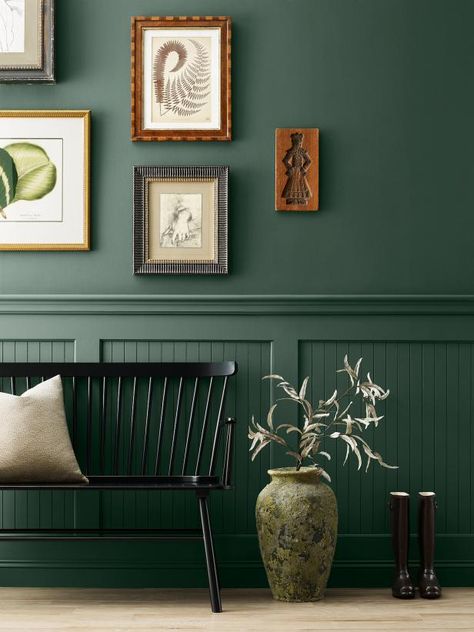 Sherwin-Williams' 2024 collection of blues and greens features the striking verdant hue, Billiard Green. This cool, forest-inspired shade is rich and organic with timeless appeal. (It's part of the brand's historical collection as well.) How You Can Use It Go green in an outside-to-inside space like a mudroom, foyer or entryway. This rich emerald will provide continuity with natural surroundings while creating a dazzling entrance to your home. Emerald Green Paint, Green Entryway, Sherwin Williams Green, Trending Paint Colors, Color Forecasting, Sherwin Williams Colors, Green Paint Colors, Sherwin Williams Paint Colors, Paint Brands