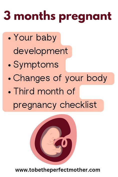 3 months pregnant: symptoms, your body, and baby development 3 Month Pregnant, 3 Months Pregnant, 3rd Month Pregnancy, Third Month Of Pregnancy, Baby Development Chart, 13 Weeks Pregnant, 12 Weeks Pregnant, First Month Of Pregnancy, Pregnancy Checklist