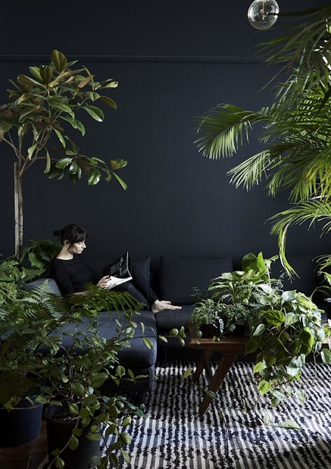 Dark Bedroom, Home Decor Aesthetic, Living Room Plants, Black Living Room, Aesthetic Home Decor, Black Room, Indoor Gardens, Dark Walls, Bedroom Plants