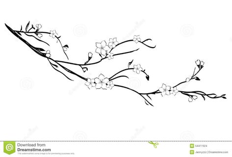 Cherry Blossom Outline, Cherry Tree Tattoos, Cherry Tree Branch, Tree Branch Tattoo, Cherry Blossom Tree Tattoo, Cherry Blossom Drawing, Branch With Flowers, Blossom Tree Tattoo, Branch Drawing