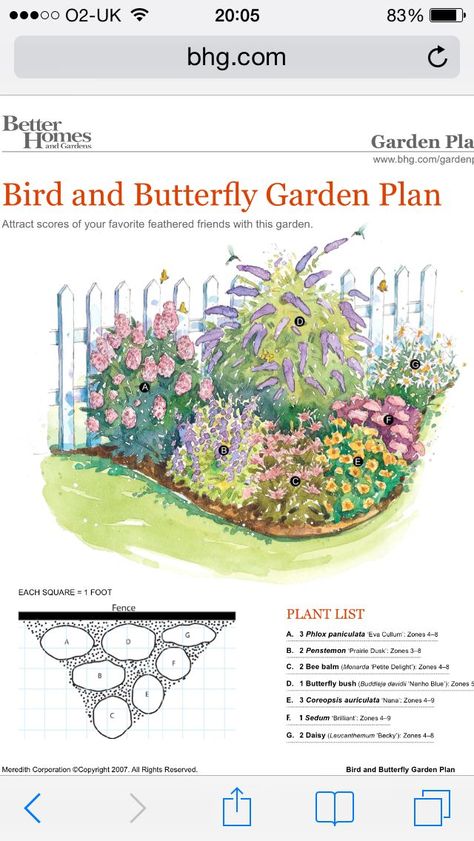 Small Wild Flower Garden Ideas, Corner Wildflower Garden, Georgia Wildflower Garden, Bee Garden Plan, Small Rectangle Flower Bed, Corner Perennial Garden Ideas, Butterfly Garden Ideas Flower Beds, Shade Butterfly Garden, Small Pollinator Garden Design