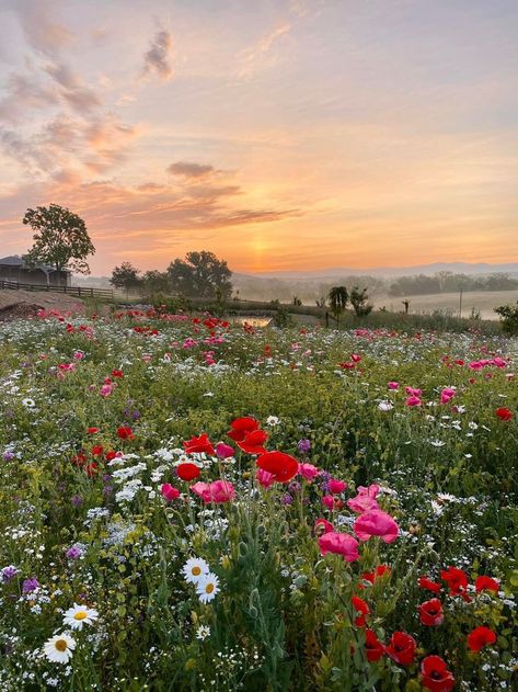 Farm Dream, Wild Flower Meadow, Landscape Photography Nature, Wildflower Garden, Beautiful Landscape Wallpaper, Aesthetic Photography Nature, Beautiful Backgrounds, Pictures To Paint, Flowers Nature