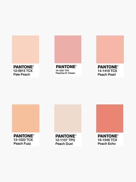 Peach Color Palettes, Pantone Colour Palettes, Square Stickers, Brand Color Palette, Pola Sulam, Color Palette Design, Color Inspo, Aesthetic Colors, Peach Color