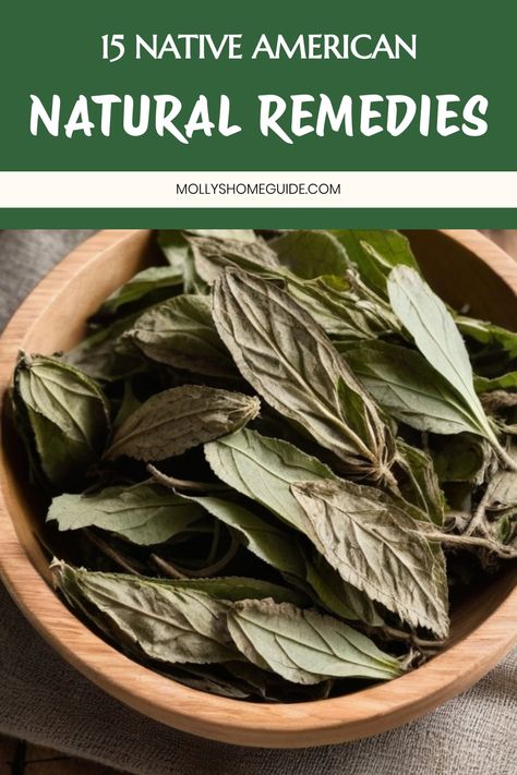 Discover the rich tradition of Native American medicinal herbs with our collection of herbal remedies and healing plants. Explore the ancient practice of Indian Herbalogy in North America, incorporating sacred herbs for their powerful natural benefits. Learn about traditional Native American Herbal Medicine and the art of using herbs for various health remedies. From indigenous recipes to traditional healing practices, delve into the world of Native American Herbs and Remedies passed down throug Indigenous Recipes, Native American Remedies, Native American Herbs, Herbs Remedies, Sacred Herbs, Native American Medicine, Medicinal Wild Plants, Indian Medicine, Ancient Remedies