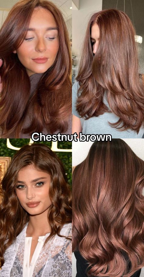 Chestnut brown hair: Understand its shades, achieving the color, matching skin tones, seasonal analysis, and frequently asked questions. Warm Tone Brown Hair, Tone Brown Hair, Hair Color For Warm Skin Tones, Seasonal Analysis, Lavender Grey Hair, Brown Hair Tones, Brown Hair And Eyes, Deep Brown Hair, Hair Color Brown Chestnut