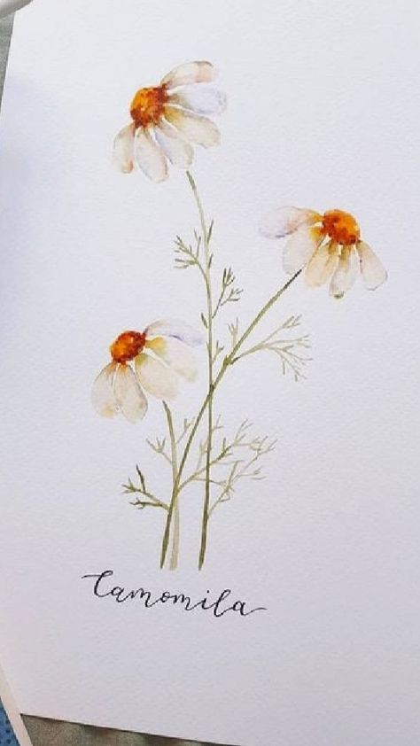 Flower Sketch For Watercolor, Flower Watercolor Illustration, Small Flower Watercolor Paintings, Girly Watercolor Paintings, Watercolor Art Paintings Beautiful, Easy Watercolor Wildflowers, Daisy Watercolor Painting Easy, Boho Watercolor Painting, Watercolor Flower Cards