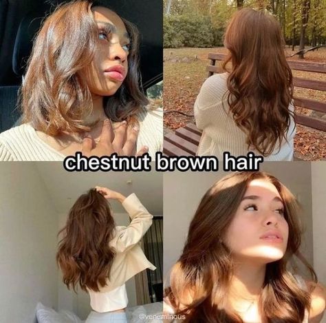 Check out our hair color board for more hair color ideas and hair color inspiration comment and follow for more Chestnut Brown Hair On Tan Skin, Pale Skin Brown Eyes Hair Color Ideas, Brown Hair For Tan Skin, Hair Colour For Tan Skin, Tan Skin Hair Color Ideas, Hair Colors For Tan Skin, Hair Color For Pale Skin, Brown Hair Pale Skin, Euphoria Hair