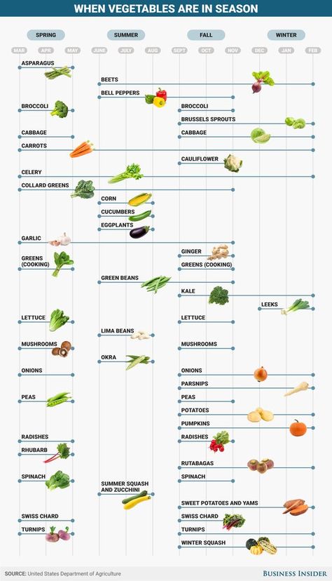 Vegetable Chart, Cooking Green Beans, Fall Vegetables, Eat Seasonal, Home Vegetable Garden, Seasonal Food, Vegetable Seasoning, In Season Produce, Fresh Fruits