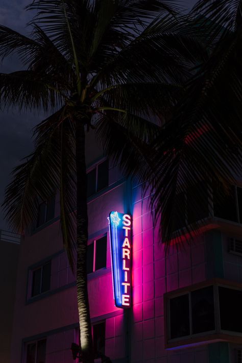 Neon Astethic, Cartoon Rappers, South Beach Miami, Neon Aesthetic, Mansions Luxury, South Beach, Dark Aesthetic, Rappers, Miami