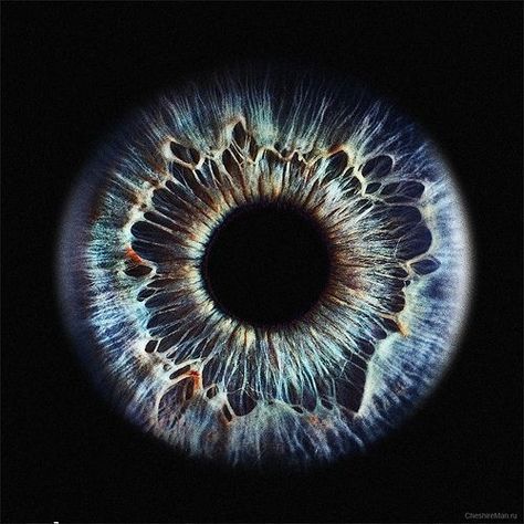 Humain . Eye .                                                                                                                                                                                 Plus Iris Eye, Iris Art, Eye Close Up, Close Up Photography, Eye Photography, Aesthetic Eyes, Human Eye, Eye Art, Natural Forms