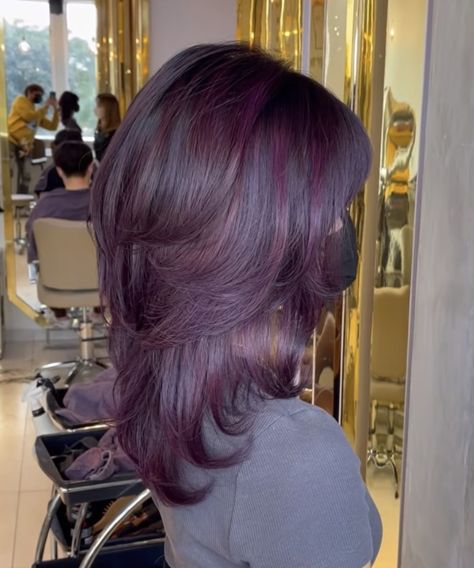 Magenta Brunette Hair, Plum Hair Streaks, Violet Hair Ideas, Global Grape Hair, Overtone Purple On Brown Hair, Purple On Brown Hair No Bleach, Purple On Light Brown Hair, Grape Color Hair, Pelo Morado Aesthetic