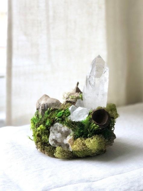 Moss Sculpture, Reindeer Lichen, Crystal Room Decor, Citrine Cluster, Tibetan Quartz, Lichen Moss, Crystal Room, Sculpture Home Decor, Crystal Garden