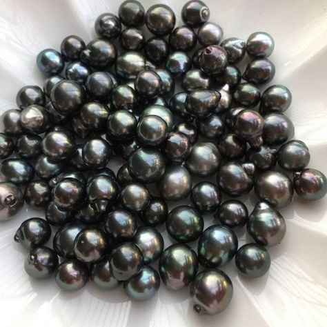 The Tahiti Pearl is a black color’s Pearl which is widely spread across the world. It is famous for its shine that has great sparkle. Tahiti Pearls have very purity in itself. It’s also known as “Queen of Pearls”. It’s grown in the warm water of the Polynesian lagoons. Tahitian Pearls are not overall black rather it’s a dark green body color. - Bulk Gemstones Pearl Earrings Outfit, Tahiti Pearl, Pearl Aesthetic, Black Pearl Jewelry, Queens Wedding, Tahitian Pearl Earrings, Dark Jewelry, House Aesthetic, Black Pearls