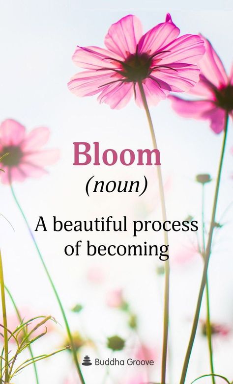 Bloom! – Catherine's Touch Beautiful Flower Quotes, Bestfriend Quotes, Ftd Flowers, Bloom Quotes, Funny Vine, Floral Quotes, Spring Quotes, Cottage Rose, Garden Quotes