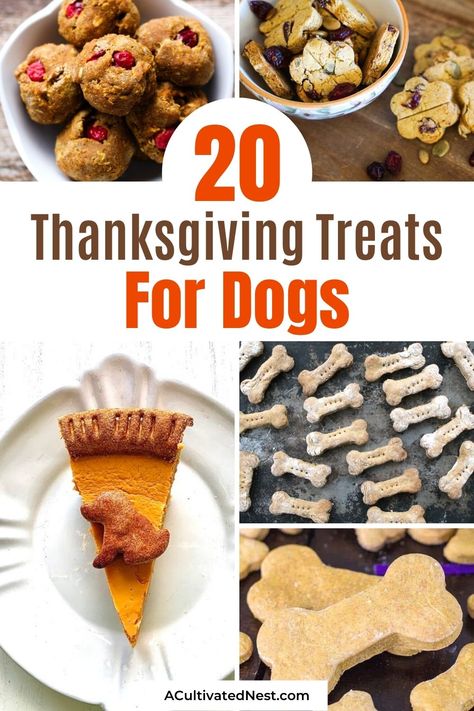 Cheese Treats For Dogs, Rice Dog Treats, Thanksgiving Dog Treats Easy, Dog Friendly Thanksgiving Food, Meaty Dog Treats, Dog Friendly Thanksgiving Dinner, Thanksgiving Dog Treat Recipes, Thanksgiving Food For Dogs, Thanksgiving Meal For Dogs