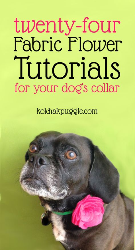 DIY Dog Collar Flower Tutorial Dogs Accessories, Dogs Diy Projects, Diy Dog Collar, Collars Diy, Dog Collar Bows, Fabric Flower Tutorial, Dog Flower Collar, Dog Projects, Dog Crafts