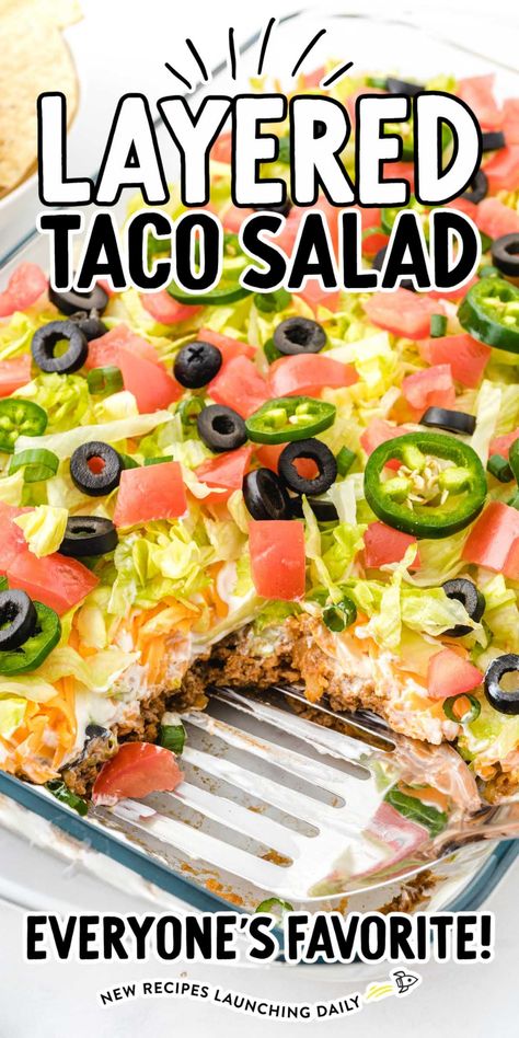 Taco Salad Appetizer, Easy Taco Salad Cups, Taco Salad With Cream Cheese, Layered Taco Salad In A Cake Pan, Layered Chicken Taco Salad, Taco Salad Potluck, Midwestern Taco Salad, Seven Layer Taco Salad Recipe, Taco Layer Bake