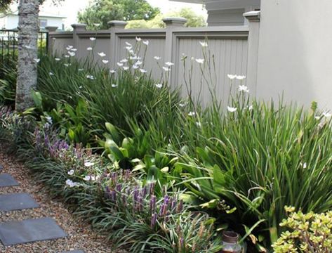 Jan McGowan | The Garden Design Society of New Zealand Landscaping Ideas New Zealand Garden Design, Layered Gardens Landscape Design, Nz Garden Landscape Design, Layered Planting, Auckland Garden, Garden Ideas Nz, Layered Garden, Garden Design Layout Landscaping, Low Maintenance Garden Design