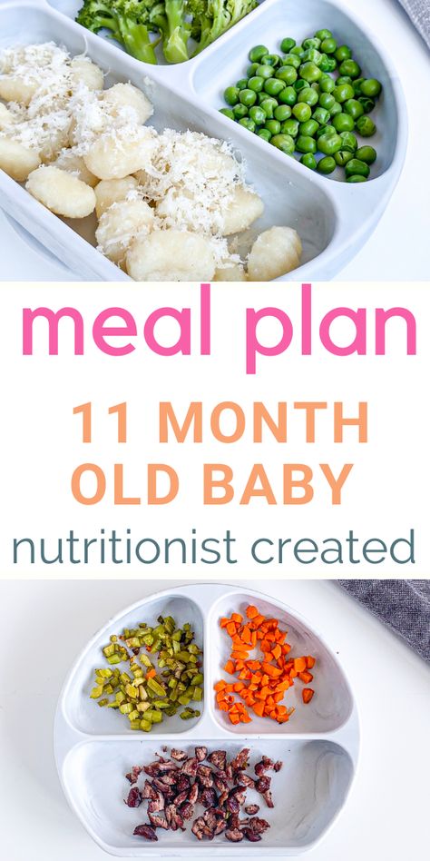 11 month old baby food needs described in this meal plan created by a nutritionist. Pincer grasp and finger food recipes for your baby. #baby #pincergrasp #11monthold 11 Month Old Food, 11 Months Baby Food, 10 Month Old Baby Food, Baby Meal Plan, 11 Month Old Baby, Baby Lunch, Baby Dinner, Baby Food Chart, Easy Baby Food Recipes