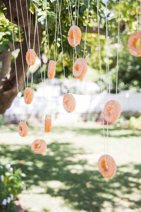 Outdoor Wedding Games, Lawn Games Wedding, Kids Budget, Picnic Games, Backyard Birthday, Halloween Games For Kids, Garden Games, Adult Halloween Party, Donut Party