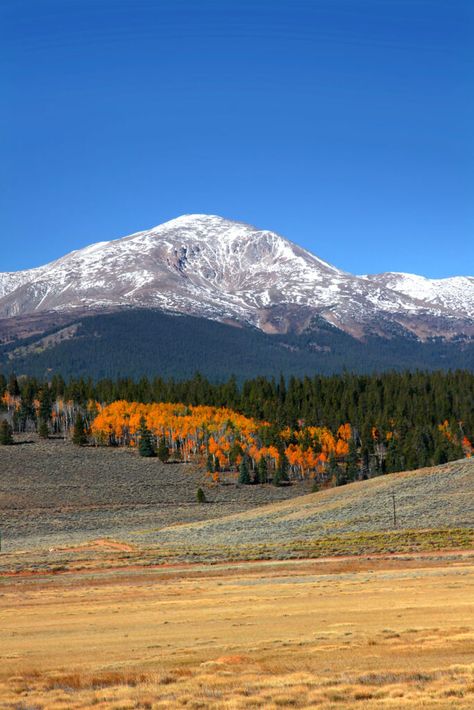 Tallest Peak in Colorado | Insider Families Colorado Scenery, Mount Elbert, Leadville Colorado, Pikes Peak Colorado, Geography Project, Ouray Colorado, Colorado Plateau, Visit Colorado, Western Landscape