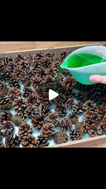 Resin Pinecone Table, Diy Resin Table, Cones Diy, Resin And Wood Diy, Epoxy Wood Table, Wood Resin Table, Resin Table Top, Pine Cone Art, Epoxy Table Top