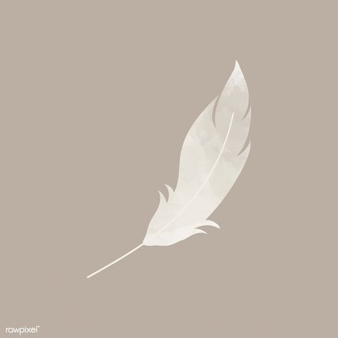 Single gray lightweight feather vector | premium image by rawpixel.com / manotang Feather Illustration Design, Feather Frame, Feather Clip Art, Feather Icon, Feather Illustration, Feather Logo, Feather Graphic, Feather Drawing, Birthday 4