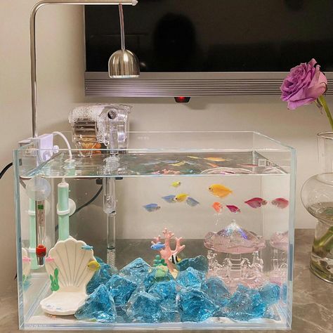 Cool Fish Tank Decorations, Aqua Farm, Fish Tank Themes, Cool Fish Tanks, Betta Fish Tank, House Essentials, Cool Fish, Pinterest Room Decor, Pet Fish