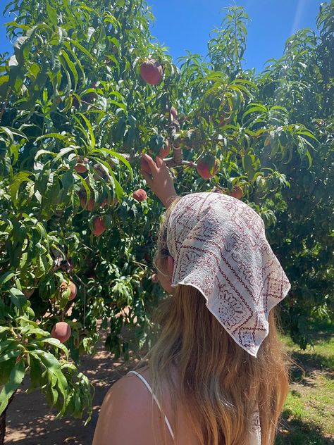 Fruit Girl Aesthetic, Berry Garden Aesthetic, Picking Fruits Aesthetic, Orange Picking Aesthetic, Tomatoe Girl Aesthetic, Peach Farm Aesthetic, Picking Berries Aesthetic, Peach Picking Aesthetic, Gardening Girl Aesthetic