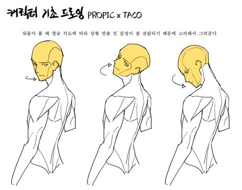 Profile Drawing Reference, Head Positions, Body Drawing Tutorial, Human Anatomy Art, Body Reference Drawing, 캐릭터 드로잉, Anatomy Drawing, Figure Drawing Reference, Anatomy Reference