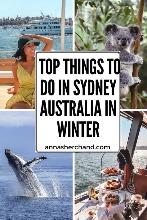 Things to do in Sydney Australia in June, July Summer In Sydney, Winter In Australia, Things To Do In Sydney, Nz Travel, Australia Itinerary, Sydney Travel, Visit Sydney, Lifestyle Board, Australia Vacation