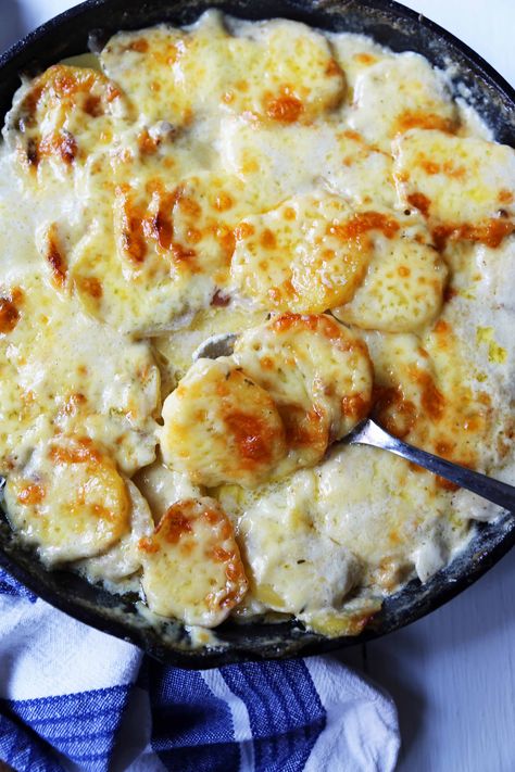 Cheesy Potatoes Au Gratin. Homemade cheesy scalloped potatoes with a rich cream sauce and melted cheddar cheese. The perfect potato side dish recipe! www.modernhoney.com #scallopedpotatoes #potatoesaugratin #potatoes #potato #thanksgiving Cheesy Potato Recipe, Healthy Scalloped Potatoes, Cheesy Au Gratin Potatoes, Scalloped Potatoes Au Gratin, Cheesy Scalloped Potatoes, Cheesy Potatoes Recipe, Modern Honey, Au Gratin Potato Recipes, Au Gratin Recipes