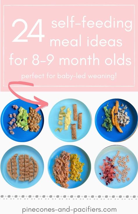 Foods To Give A 9 Month Old, 8 Months Food Ideas, 9 Month Old Daycare Food, What To Feed 8 Month Old, 9 Month Old Meals Ideas, Good Ideas For 8 Month Old, Finger Foods 9 Month Old, 9m Old Food Ideas, Dinner For 8 Month Old