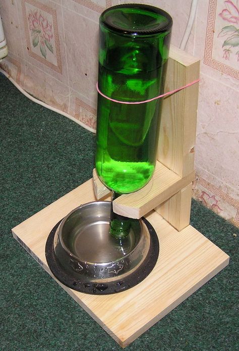 Diy Self Watering, Chicken Feeder Diy, Kat Diy, Dog Kennel Designs, Diy Dog Toys, Chicken Garden, Dog Water Bowls, Diy Water, Chicken Diy