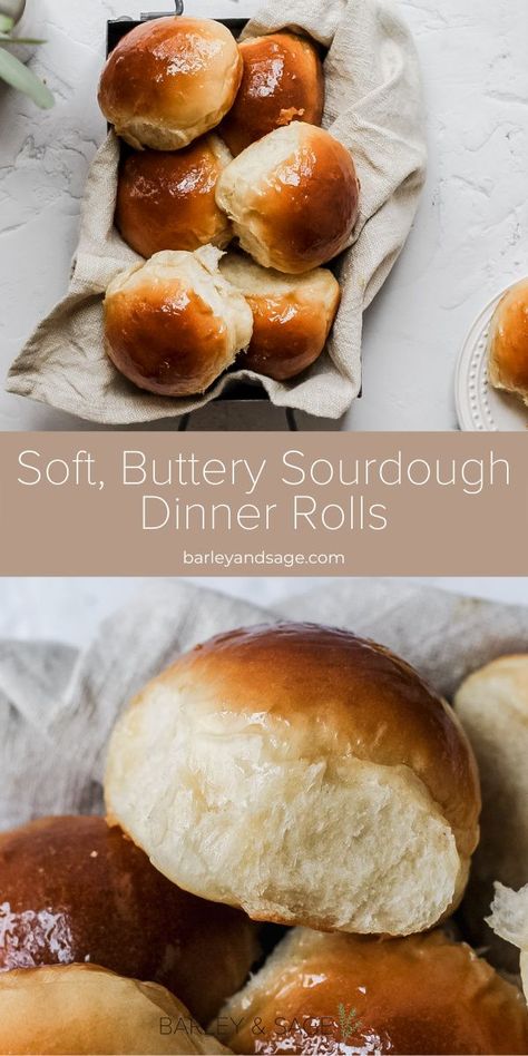 Sourdough With Starter, Fluffy Sourdough Dinner Rolls, Sourdough Honey Rolls, Thanksgiving Recipes Sourdough, Sourdough Bread Thanksgiving, Sourdough Dinner Rolls Recipe, Sourdough Discard Thanksgiving Recipes, Sourdough Honey Butter Rolls, Sourdough Starter Rolls