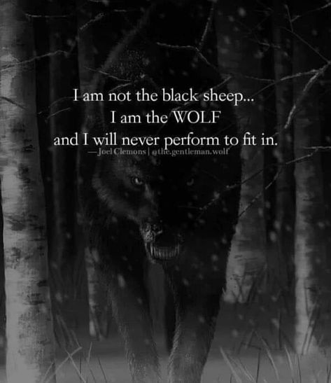 Dangerous Quotes, Lone Wolf Quotes, Twisted Quotes, Life Choices Quotes, Magic Quotes, Wolf Quotes, Savage Quotes, Anime Quotes Inspirational, Warrior Quotes