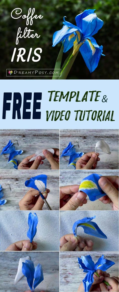 Free template and video tutorial to make Iris paper flower, paper flowers template, #paperflowers #free template Paper Iris, Paper Flowers Template, Flowers Template, Paper Quilling Flowers, Flower Wall Hanging, Flower Paper, Iris Flower, Quilling Flowers, Mason Jar Crafts Diy